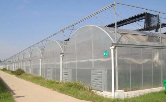 Agricultural Multi Span Po/PE Film Vegetable Greenhouse with Cooling System