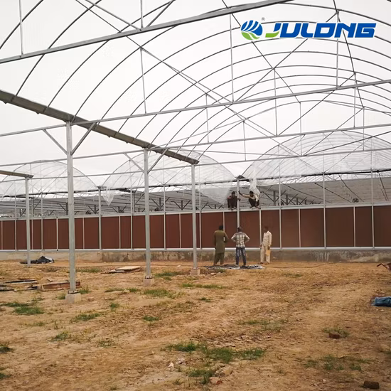 Agricultural Multi Span Po/PE Film Vegetable Greenhouse with Cooling System