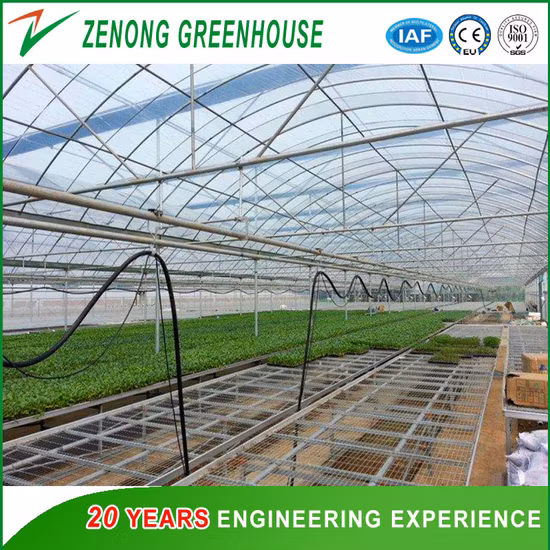 Outside and Inside Shading System of Greenhouse