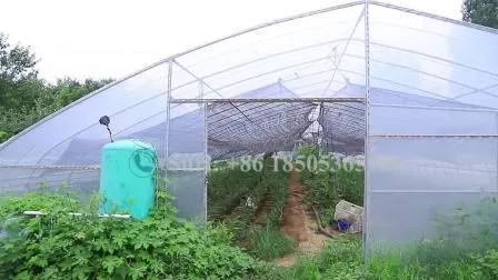 Dome Film Greenhouse for Vegetables/Garden