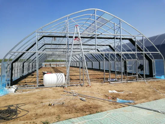 Light Deprivation System Tunnel Greenhouse 100% Shading with Blackout System