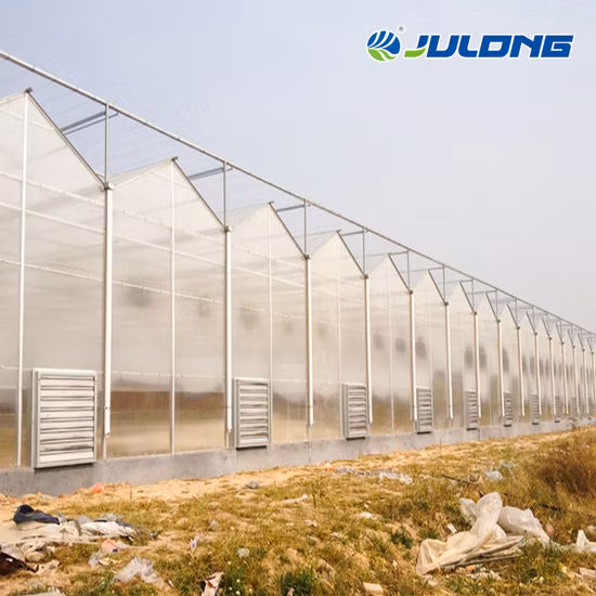 Galvanized Steel Pipe Venlo PC Sheet Greenhouse for Garden Products
