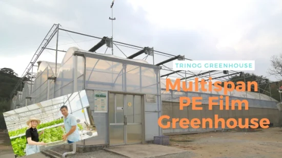 High tech low cost Agricultural used plastic film hydropoinics greenhouses building material for sale