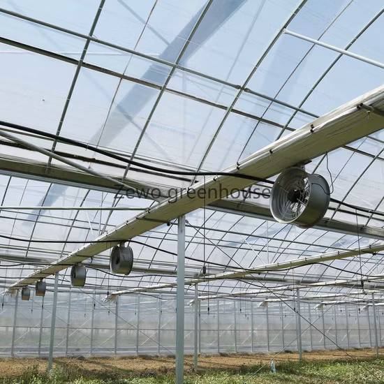 Gutter Connected Po Film Greenhouse with Evaporative Cooling Pad for Rose/Tulip/Tomato/Pea