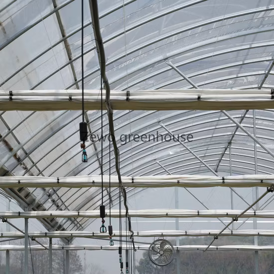 Gutter Connected Po Film Greenhouse with Evaporative Cooling Pad for Rose/Tulip/Tomato/Pea