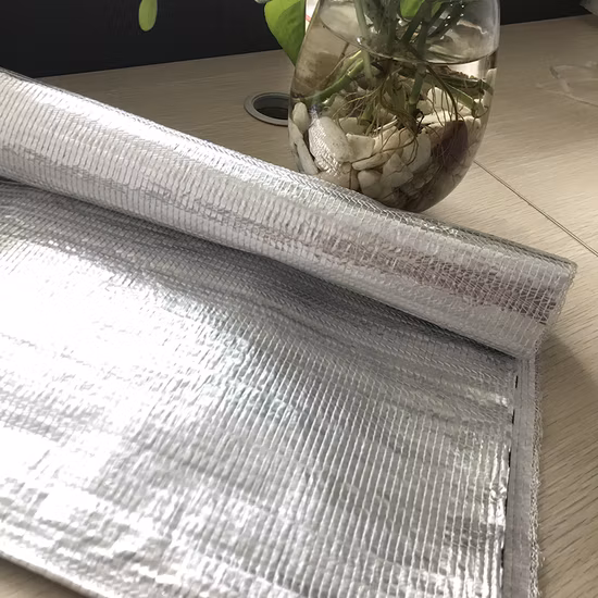 Effective Greenhouse Outside Shading Screen for Lowing The Temperature Not Sunburn The Crops