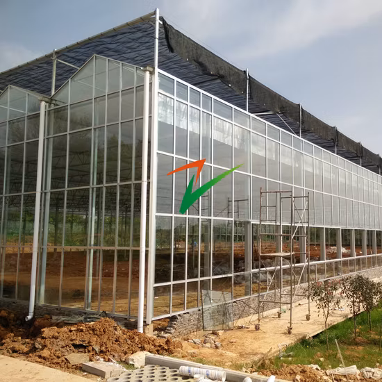 Green Houses Manufactures Multi Span Tomato Strawberry Flower House Cooling Irrigation Grow Tent Glass Greenhouse