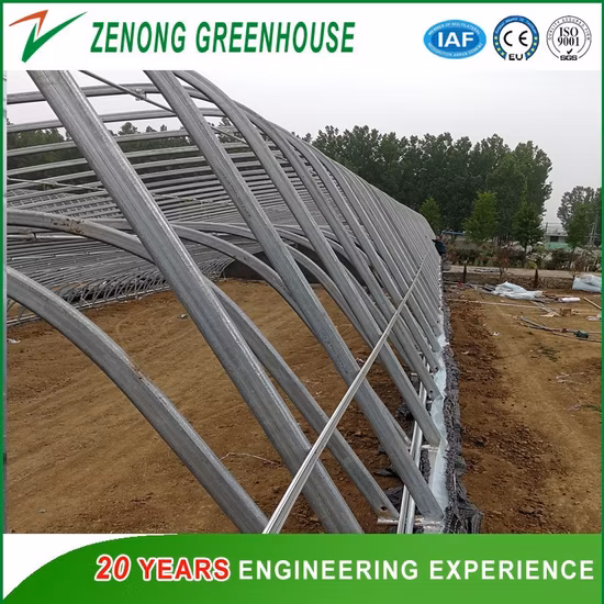 Four Season Green House Energy