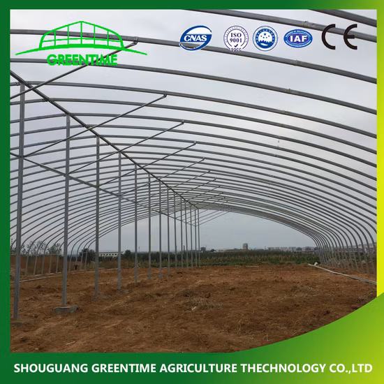 Professional Exporter of Tunnel Greenhouse with Single/Double Layer Film for Strawberry/Tomato/Cucumber/Pepper in China