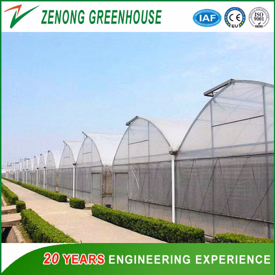 Raw Tooth Type Tropical Greenhouse Film Greenhouse with Automatic Temperature Control for Vegetable Planting Tomato/Cucumber/Seedling/Nursery