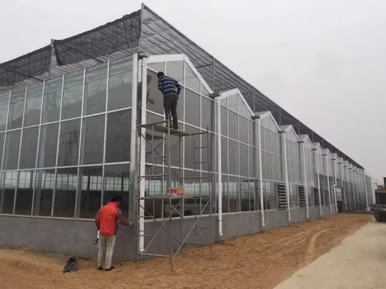 Customized Glass Greenhouse with Irrigation and Heating System for Agriculture