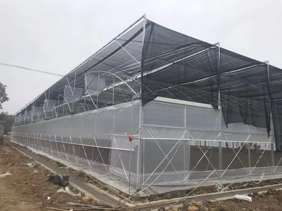 Trinog China made multispan hydroponics plastic film agricultural greenhouse for commercial farm