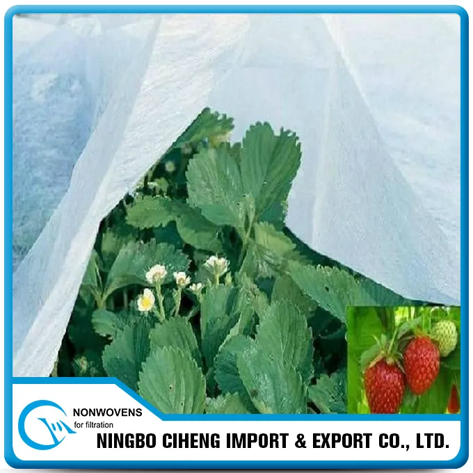 Trinog Greenhouse strawberry hydroponic channel film greenhouse accessories