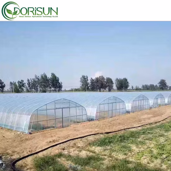 Agriculture Film Greenhouse for Tomato Flowers Nursery Seedlings