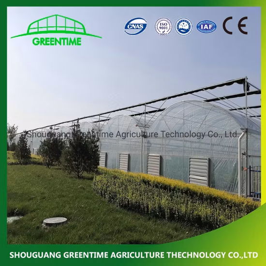 Hot Sale Multi Span Plastic Film Greenhouse for Planting