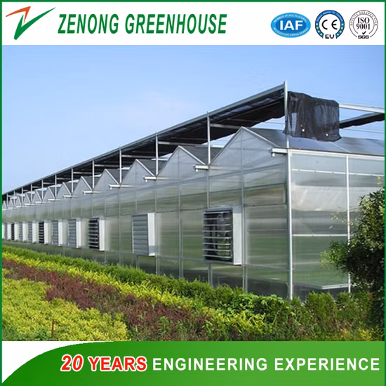 Greenhouse Skeleton Steel Structure for Agriculture