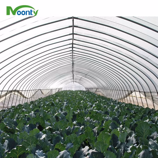 Tunnel Shape Arch Dome Hoop Greenhouse for Farm Planting