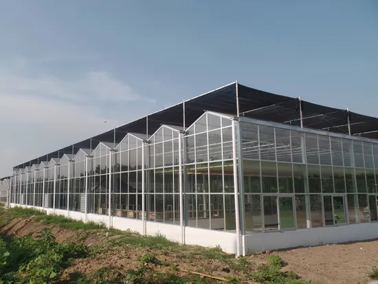 Agriculture Triangle roof PC sheet polycarbonate greenhouse with cooling pad and fans