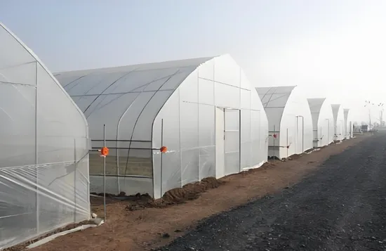 Completed hydroponics Flower Glass Greenhouse with heating system