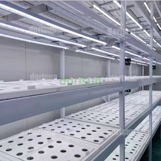 9600*650*2350mm Easy Control Heating and Cooling System Greenhouses Farm Container