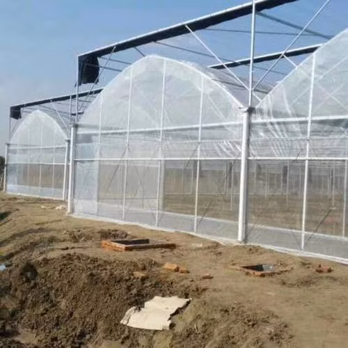 High tech low cost Agricultural used plastic film hydropoinics greenhouses building material for sale